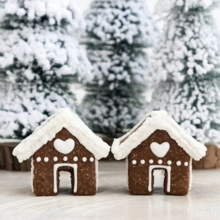 Mini Gingerbread House